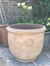 Load image into Gallery viewer, Temperate House Kew Royal Botanic Gardens Frostproof Terracotta Planter