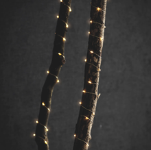 Load image into Gallery viewer, 20 Metre Plug In Outdoor Silver Wire Golden Fairy Lights