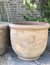 Load image into Gallery viewer, Temperate House Kew Royal Botanic Gardens Frostproof Terracotta Planter