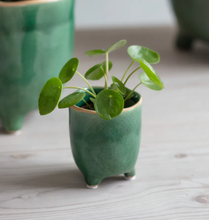 Load image into Gallery viewer, Small Positano Pot | Forest Green