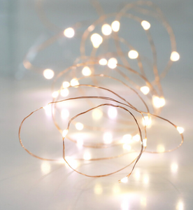 Copper wire lights with 30 tiny lights