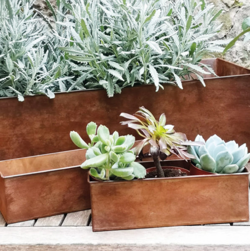 Rust planters perfect for indoor and outside use. The small is perfect for 3 succulents and the large will fit larger plants.