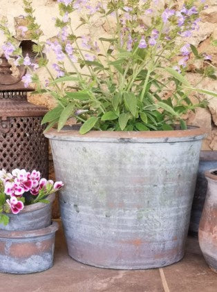 A vintage style finish terracotta planter pot, ideal for small plants and flowers on your patio. With shades of terracotta, grey and black, the finish is so beautiful and makes a perfect pot with interest for the garden. 