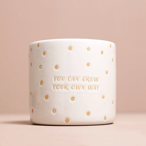 A glazed houseplant pot with the words 'you can grow your own way'