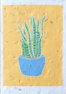 Sansevieria (Snake cactus) Plantable Greeting Card