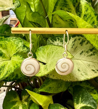 Load image into Gallery viewer, Sterling Silver Round Shell Drop Earrings