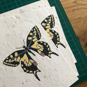 Butterfly Plantable Greeting Card