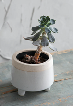 Load image into Gallery viewer, Small Sherston Pot | Ceramic