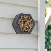 Load image into Gallery viewer, Hexagonal shaped bee hive