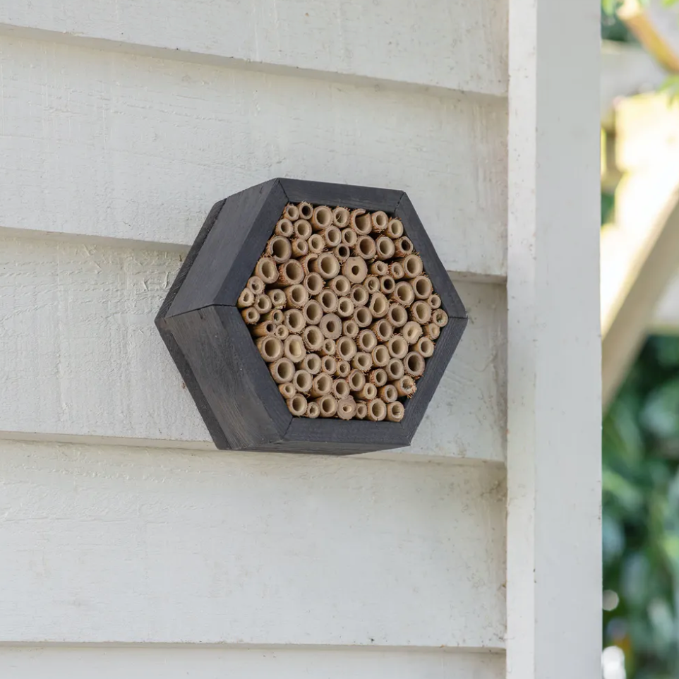 Hexagonal shaped bee hive