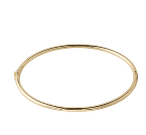 Ankle bangle : Kallie : Gold Plated