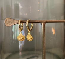 Load image into Gallery viewer, Small gold circular earrings with shells hanging.