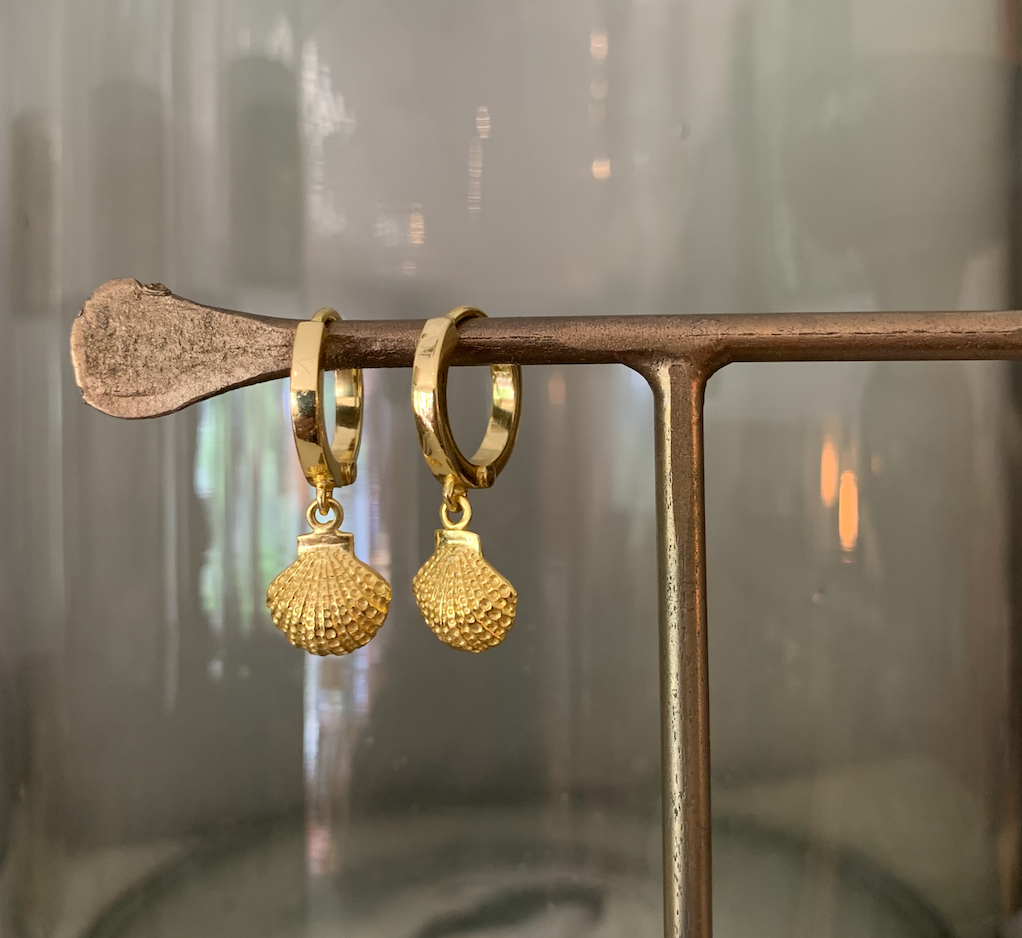 Small gold circular earrings with shells hanging.