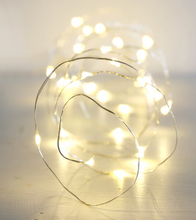 Load image into Gallery viewer, A 3 metre strand of 30 lights on silver wire