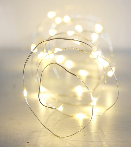 A 3 metre strand of 30 lights on silver wire