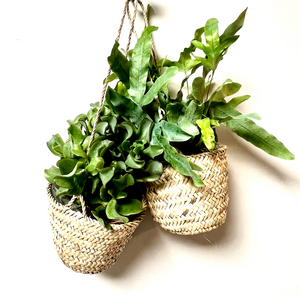Small Palm Grass Hanging Basket