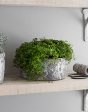 Load image into Gallery viewer, A bowl shaped indoor plant pot. The chunky circular design is crafted in ceramic and comes with a waterproof inner seal. The exterior has been finished with an antique textured glaze in shades of white, brown, blue and even a subtle hint of purple.