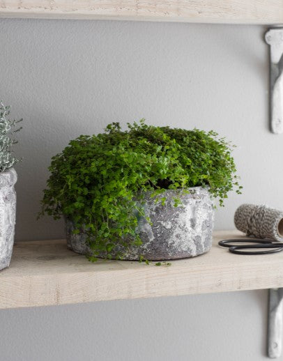 A bowl shaped indoor plant pot. The chunky circular design is crafted in ceramic and comes with a waterproof inner seal. The exterior has been finished with an antique textured glaze in shades of white, brown, blue and even a subtle hint of purple.