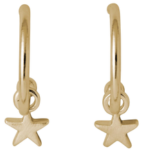 Load image into Gallery viewer, pilgrim ava small hoop earrings with star