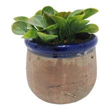 Load image into Gallery viewer, Blue rustic pot 10 X 11 cm